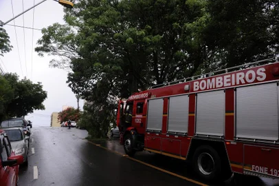  CAXIAS DO SUL, RS, BRASIL, 07/01/2019 - Bombeiros removem galho caído de árvore, na rua Alfredo chaves, quase esquina com Feijó júnior, no bairro são Pelegrino. (Marcelo Casagrande/Agência RBS)