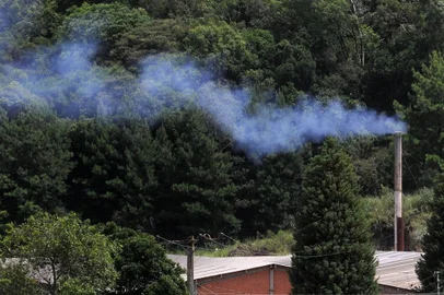  CAXIAS DO SUL, RS, BRASIL, 14/01/2018 - Reportagem sobre a qualidade do ar em Caxias do Sul. (Marcelo Casagrande/Agência RBS)