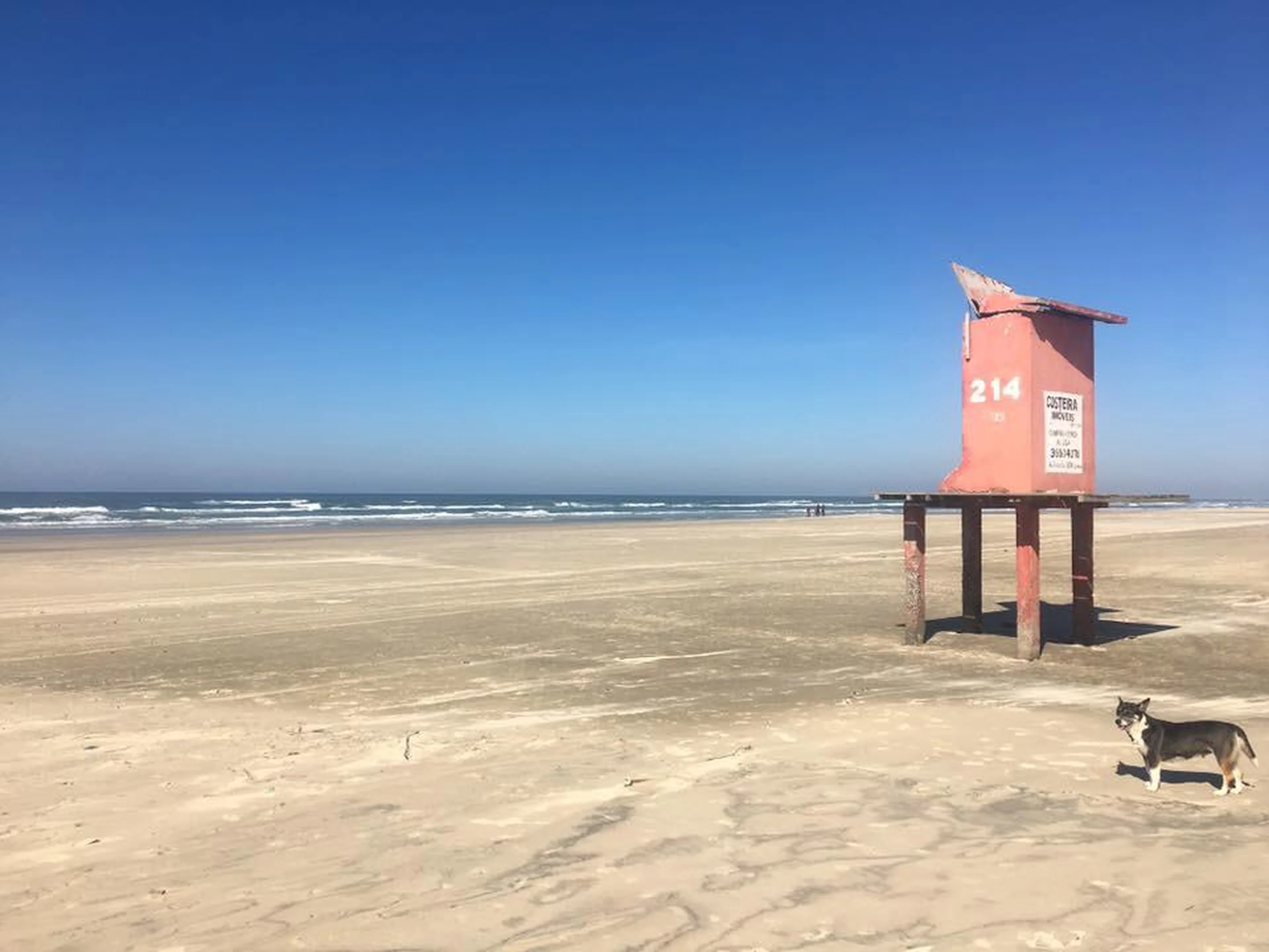 LeitorDG/Arquivo Pessoal