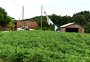 Funrural, reforma agrária e segurança no campo: veja outras ações do governo para o campo