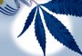 Após legalização da maconha, Uruguai vive explosão de homicídios
