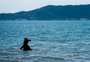 Aumenta número de pontos impróprios para banho nas praias de Santa Catarina