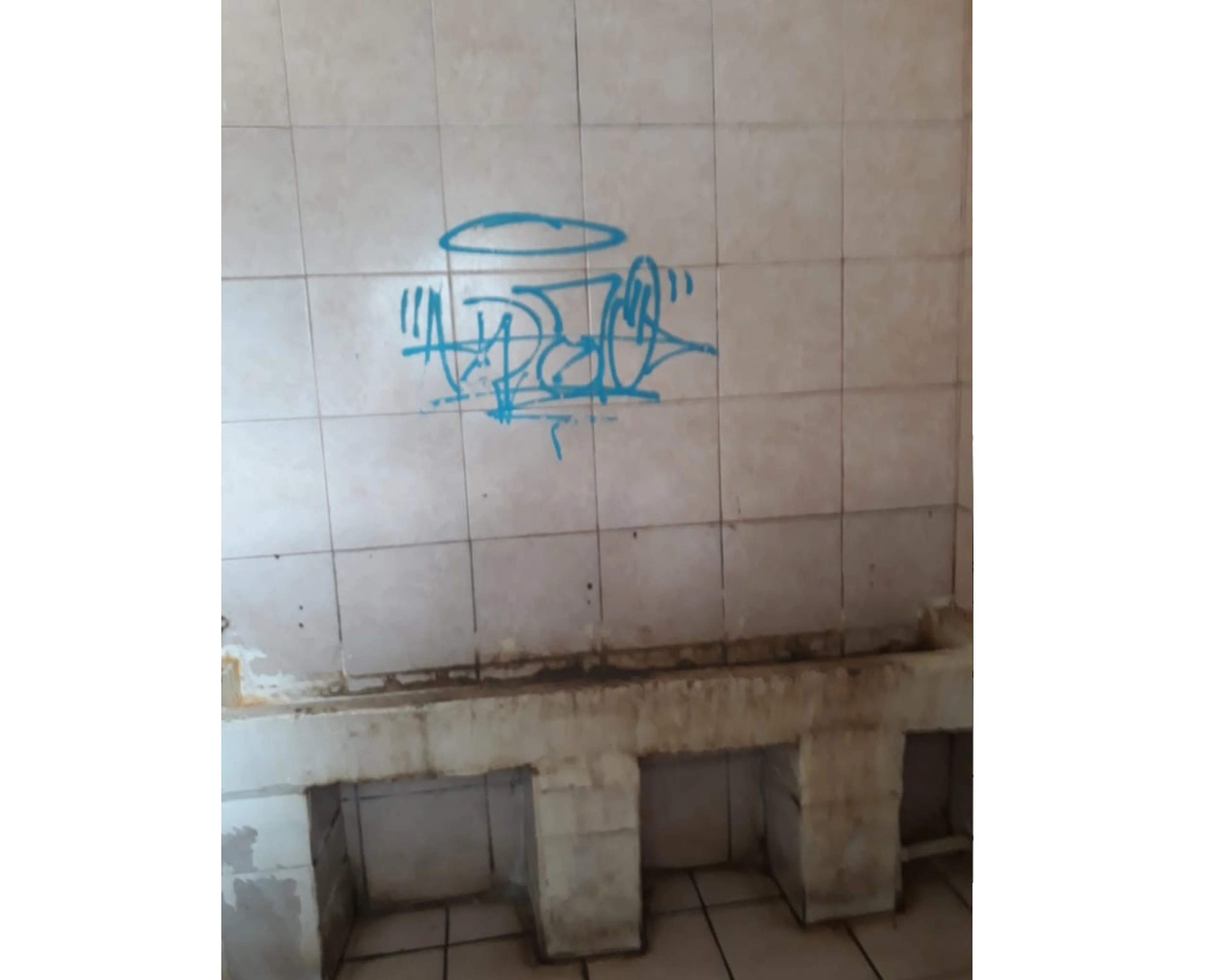 LeitorDG/Arquivo Pessoal