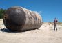 Boia gigante aparece em praia e intriga moradores de Balneário Gaivota