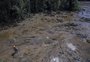 "Saímos correndo, sem saber para que lado a gente ia", diz sobrevivente de Brumadinho