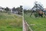 Falta de manutenção em praça causa incômodo em moradores do bairro Porto Verde, em Alvorada