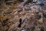 Diário de Brumadinho: a difícil missão de narrar uma tragédia 
