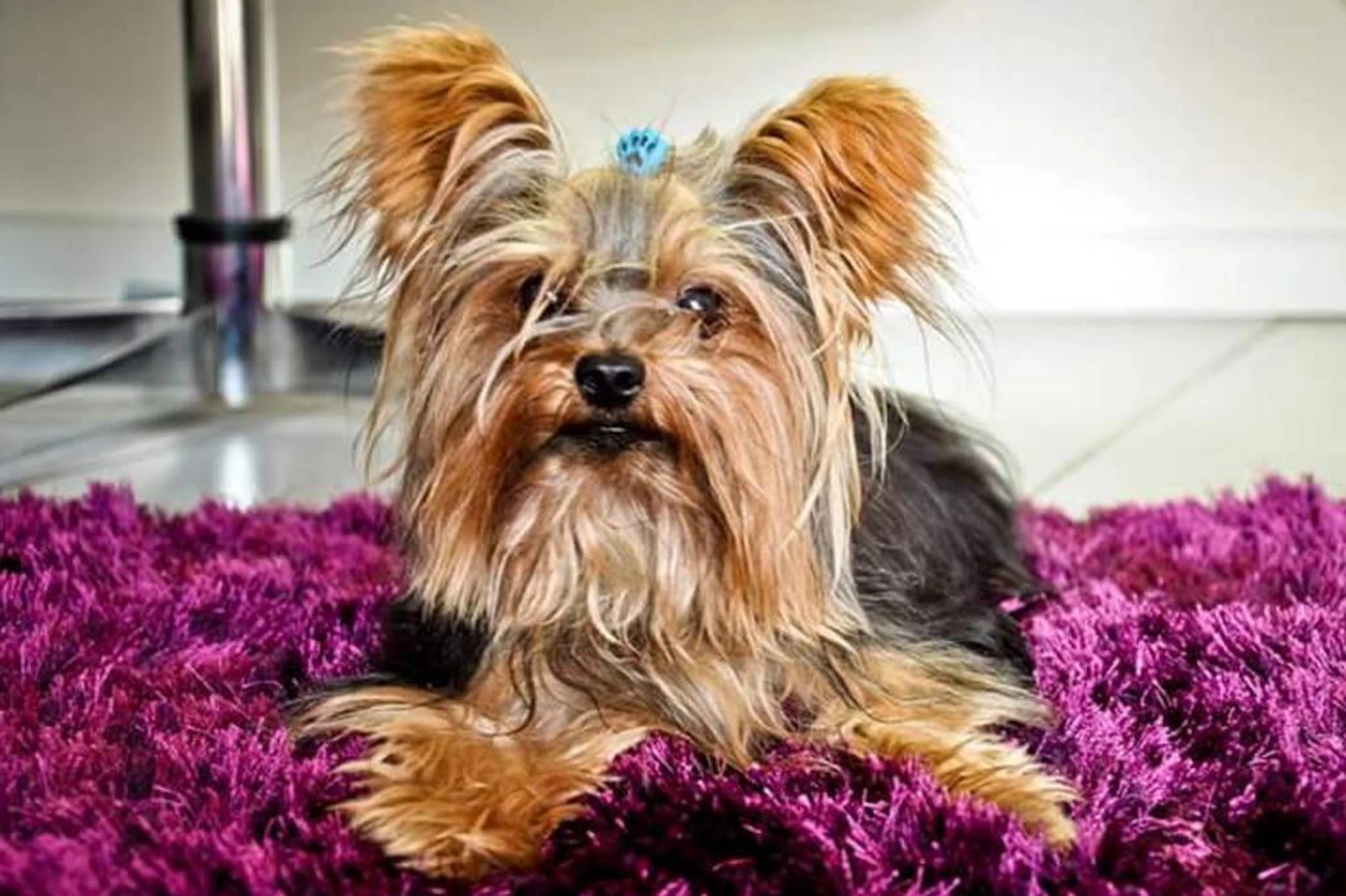 Arquivo Pessoal/Arquivo Pessoal