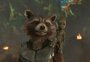 Morre Oreo, o guaxinim que serviu de modelo para Rocket de "Guardiões da Galáxia"