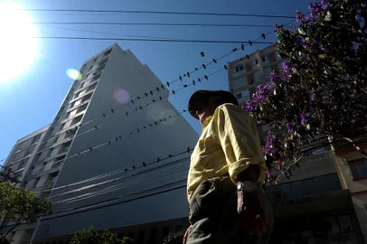  CAXIAS DO SUL, RS, BRASIL, 06/02/2019Pombos no centro da cidade. (Lucas Amorelli/Agência RBS)