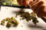  URUGUAI - Brasileiros que foram morar no Uruguai por causa da legalidade da maconha. (FOTO: LAURO ALVES/AGENCIARBS)