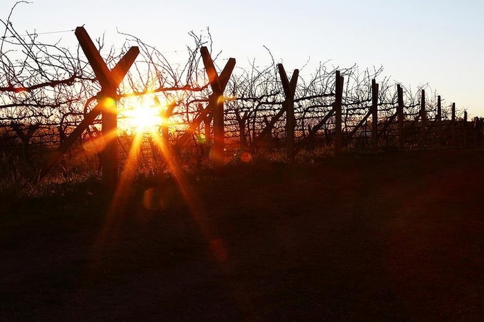 Severino Julio Schiavo / Divulgação