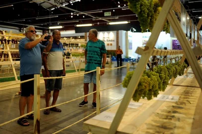  CAXIAS DO SUL, RS, BRASIL, 22/02/2019 - Movimento nas primeiras horas da abertura da Festa da Uva é tranquilo nos pavilhoes. NA FOTO: grupo veio do Rio de Janeiro para conhecer a festa. (Marcelo Casagrande/Agência RBS)