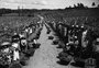 Vindima na Quinta São Luiz em 1932