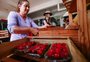 Reforma da Previdência no campo é mais dura para mulheres e agricultores de baixa renda 