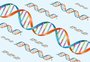 Estudo indica homossexualidade não é determinada por um gene, mas sim milhares de fatores