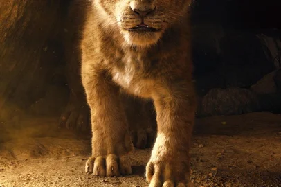  rei leão, versão live action 2019
