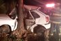 Douglas Luiz Rigo, 31 anos, morreu após o carro onde ele estava colidir em uma árvore no Km 156 da BR-470, em Nova Prata, no fim da noite de terça-feira. O Corpo de Bombeiros de Veranópolis foi acionado às quinze para meia-noite. 
