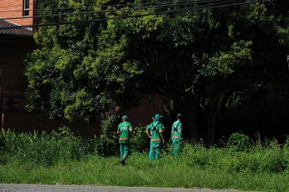  CAXIAS DO SUL, RS, BRASIL 05/03/2019Projeto liderado por moradores do bairro Cinquentenário virou lei e obriga prefeitura e proprietários particulares a manter roçada em dias em terrenos baldios ou cercados. Na foto, área pública na Rua Félix Spinato, que é vista como exemplo negativo da falta de atenção a esse problema. (Felipe Nyland/Agência RBS)