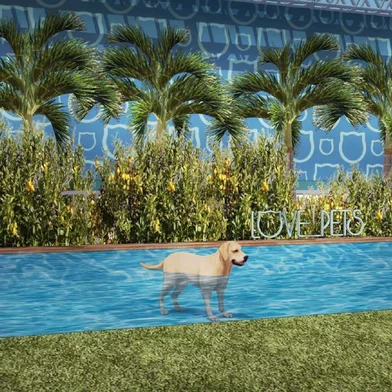 Iguatemi promove evento Love Pets com atrações inéditas para pets e seus donos