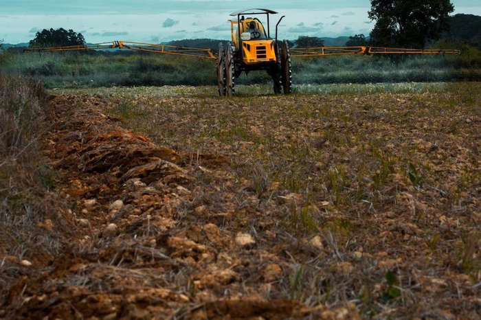 Resultado de imagem para Solo brasileiro contÃ©m mistura complexa de agrotÃ³xicos, aponta estudo realizado em Rio Grande