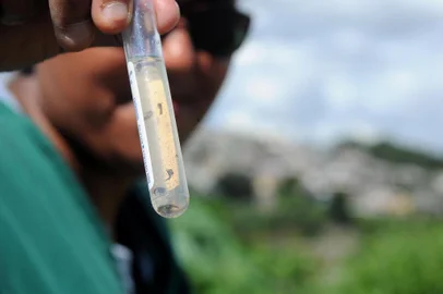  CAXIAS DO SUL, RS, BRASIL 06/03/2017A Vigilância Ambiental já identificou sete focos de mosquitos Aedes aegypti em menos de três semanas na Zona Norte de Caxias do Sul. Os agentes Cassiana da Silva e Marcos Vasconcellos fiscalizam a rua das Arapongas no bairro Canuon em Caxias do Sul. (Felipe Nyland/Agência RBS)