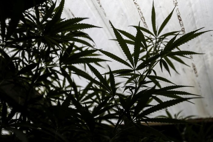 Félix Zucco / Agencia RBS