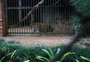Zoológico de Sapucaia do Sul é mais do que exposição de animais