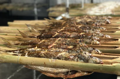 Feira do Peixe , Almoço de Lançamento da Feira do Peixe de Porto Alegre , colônia de pescadores Z5