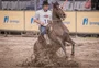Prova em Esteio definiu 16 finalistas do Freio de Ouro 2019, que ocorre na Expointer