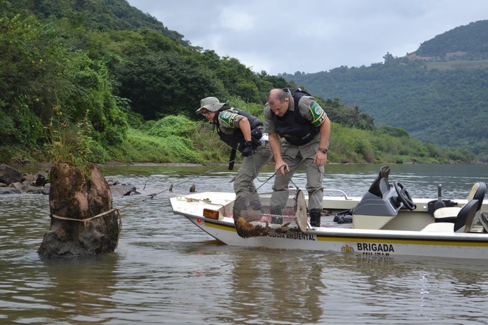 Alana Paludo / Divulgação