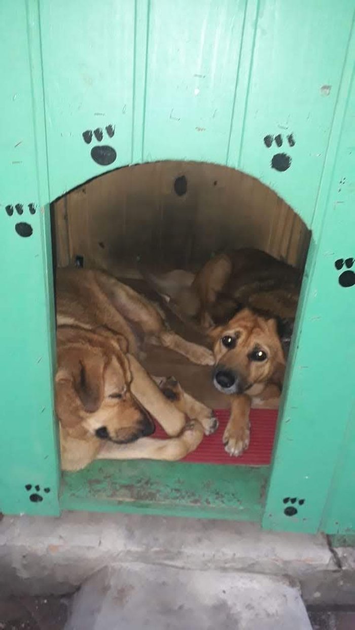 Rosana Oliveira / Arquivo Pessoal