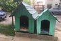 Prefeitura obriga moradores a remover casinhas que abrigam cães comunitários em Porto Alegre