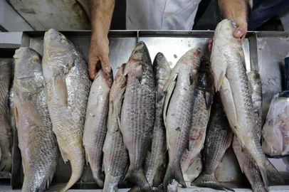  PORTO ALEGRE, RS, BRASIL - 2019.04.16 - Feira do Peixe de POA, junto ao Mercado Público, começa a receber clientes para a semana santa. (Foto: ANDRÉ ÁVILA/ Agência RBS)