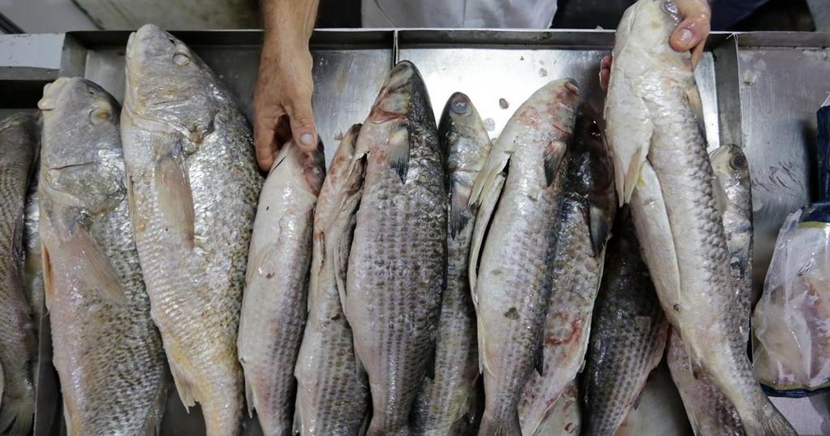 VÍDEO como acertar na compra do peixe para a Sextafeira Santa GZH