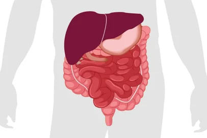A colonoscopia desmistificada