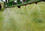 Bayer sofre terceira condenação nos EUA e terá que pagar US$ 2 bilhões