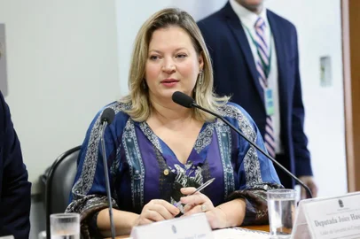 Comissão Mista sobre a MP 868/18, que reformula o marco legal do saneamento básico. Dep. Joice Hasselmann (PSL - SP). Foto: Michel Jesus/Câmara dos Deputados