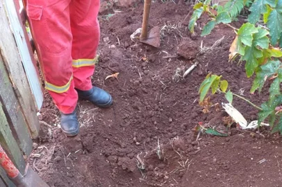 Marido de 76 anos é preso suspeito de matar e enterrar companheira no pátio de casa