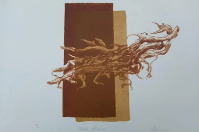 Obra de Ana Vergamini na mostra Naturezas-mortas e outras coisas, gravuras do Amarp e do Campus 8