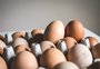 Ovo: aliado da dieta ou inimigo da vida saudável?