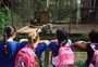 Zoológicos são fundamentais para a preservação da nossa fauna