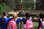  SAPUCAIA DO SUL,  RS, BRASIL, 09/05/2019- Zoológico de Sapucaia. (FOTOGRAFO: JEFFERSON BOTEGA / AGENCIA RBS)Indexador: Jefferson Botega