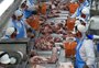 Peste suína africana deve aumentar preço da carne e reduzir exportação de soja 