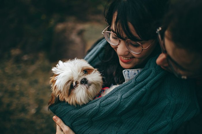 Pexels / Divulgação Pexels / Divulgação