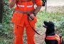 Cão farejador que encontrou corpo de mulher enterrada em Dom Pedrito atuou em Brumadinho 