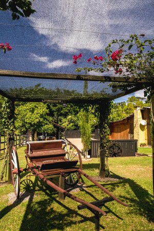 Andréa Graiz / Agencia RBS