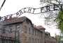 A escritora de Auschwitz: um testemunho impressionante do horror