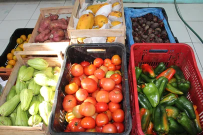 Alimentos doados