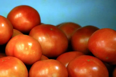  PORTO AELGRE -RS -BR - 22.10.2018Tomate volta a pesar no orçamento.Tomate Longa Vida 8,97  o kilo.FOTÓGRAFO: TADEU VILANI AGÊNCIARBS Editoria DG